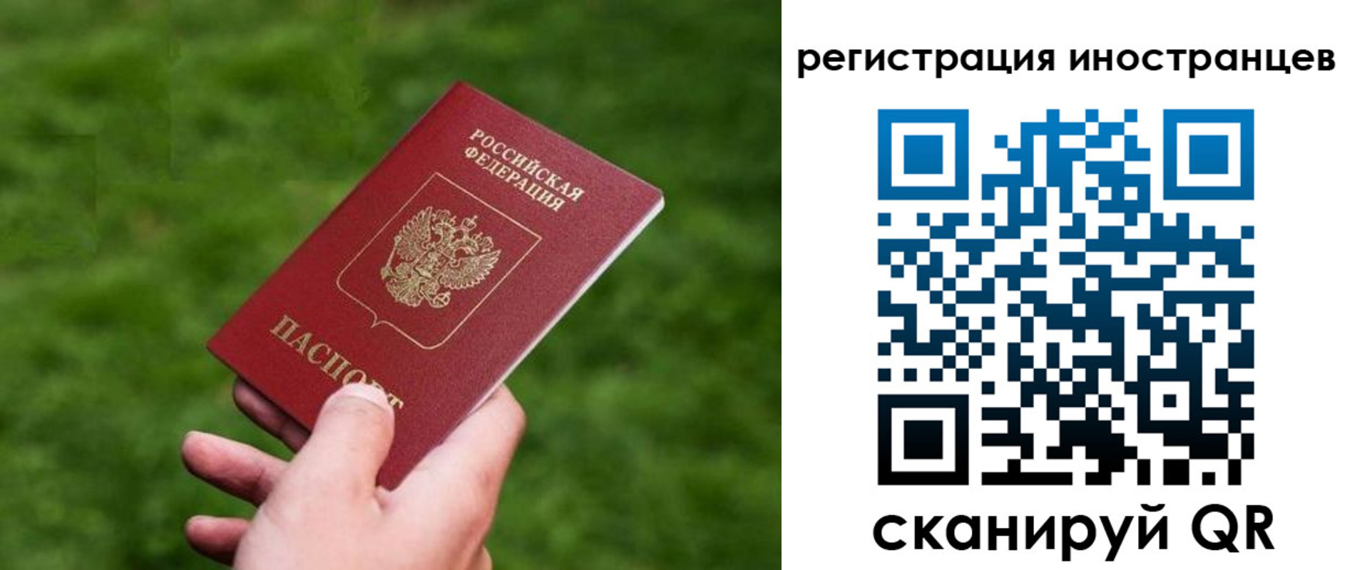 прописка ребенка в Коврове